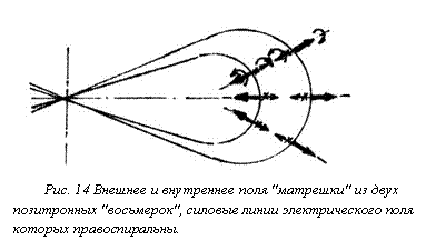 Подпись: 
Рис. 14 Внешнее и внутреннее поля "матрешки" из двух позитронных "восьмерок", силовые линии электрического поля которых правоспиральны.
 

